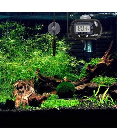 Neptonion Aquarium Thermometer LCD Digital Aquarium Thermometer