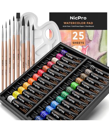Nicpro Micro Detail Paint Brush Set,15 Small Professional Artist Miniature  Fine Detail Brushes for Art Watercolor Oil Acrylic,Craft Models Rock