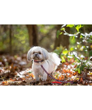 Miami Dolphins Cheerleader Dog Dress