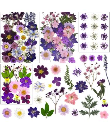 LUCISKY 96 Pcs Pressed Dried Flowers Real Natural Leave Petals for DIY  Resin Molds Jewelry Nail Candle Crafts