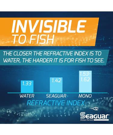 Seaguar Invizx 100% Fluorocarbon 1000 Yard Fishing Line (8-Pound
