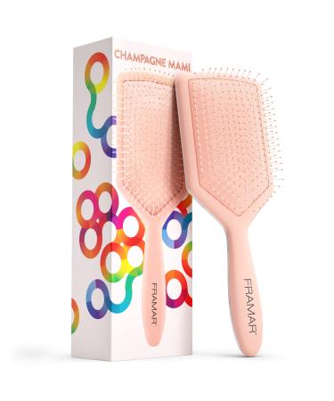 Framar Power Painter Hair Dye Brush - Hair Coloring Brush, Hair Dying Brush  to Apply Hair Color, Blending Hair Color Brush Set, Balayage Tools, Dye