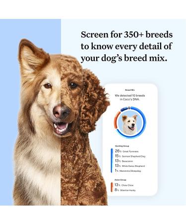 are dog breed dna tests accurate