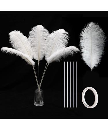  Holmgren Black Ostrich Feathers Bulk - 20pcs Making