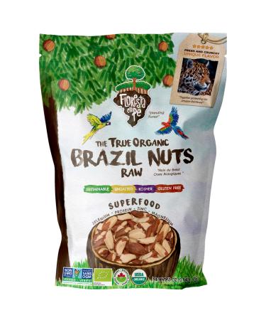 The True Organic Premium Brazil Nuts (15oz) Raw & Unsalted | Kosher | Non-Gmo | Certified Organic | Fresh | Vegan | Gluten Free | Keto and Paleo Friendly | Sustainably Harvested Medium Size 15oz (Pack of 1)