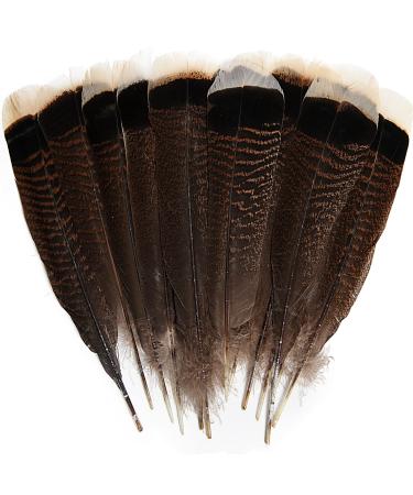  THARAHT 24pcs Peacock Feathers Long Natural in Bulk 25