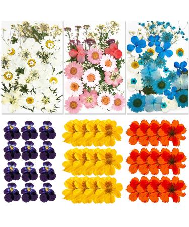 Nuanchu Pressed Flowers Resin Flowers for Resin Mold, Real Daisy Dried  Flower Leaves Natural with Tweezers for Scrapbooking DIY Candle Accessories  Jewelry Crafts Making