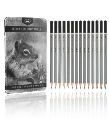 Mr. Pen- Large Eye Needles for Hand Sewing, 50 Pack, Assorted Sizes, Sewing  Needles, Needles, Needles for Sewing, Embroidery Needles for Hand Sewing,  Sewing Needles Large Eye, Big Eye Needle 