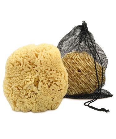 Premium Natural Sea Wool Sponges - 2 Soft Real Sponges 6-7 (Large) & 3- 4  (Medium) Perfect Luxury Gift for Bath Shower and Cosmetic Facial Cleansing  by Constantia Beauty