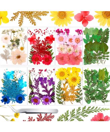 Nuanchu Pressed Flowers Resin Flowers for Resin Mold, Real Daisy
