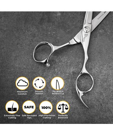 Professional Hair Scissors 5.5 Inch with Extremely Sharp Blades, 440C Steel  Hair Cutting Scissors, Durable, Smooth Motion & Fine Cut, Barber Scissors  with Elegant Sheath, Cleaning Leather & Key Hair Cutting Scissors