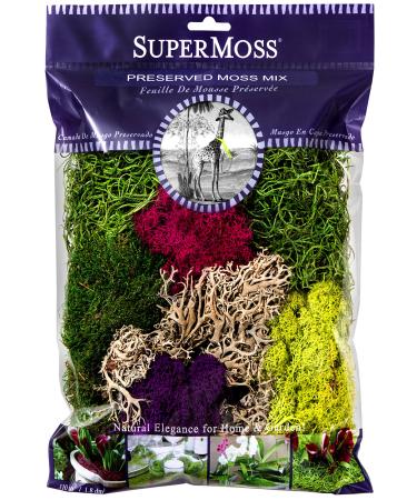Super Moss 26912 Spanish Moss Preserved, Grass, 8oz (200 Cubic inch) (2)