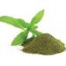 AOZA 100% Natural&Pure Products Sugar-Free Natural and Zero Calorie Sweetener Stevia Dry Leaves Powder (200 g)