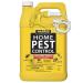 Harris Home Insect Killer, Liquid Gallon Spray with Odorless and Non Staining Residual Formula - Kills Ants, Roaches, Spiders, Fleas, Mosquitos, Moths, Scorpions, Flies and Silverfish