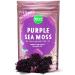 MAJU Raw Purple Sea Moss, Makes 120-Days+ of Gel, Real Bushy Chondrus Crispus, Ocean Organic Harvested