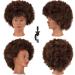 Afro curly Mannequin Head with Human Hair African American Mannequin Head 100% Human Hair Cosmetology Doll Head Hairdresser Styling Training Head Manikin Head with Curly Hair Mannequin Head for Practice Braiding Doll Head …
