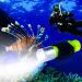 BlueFire Professional 1100 Lumen Diving Flashlight XM-L2 Bright Submarine Light Scuba Safety Lights Waterproof Underwater Torch 1 Pack