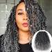  6 Packs New Goddess Curly Locs Crochet Hair 14 Inch Curly Crochet Hair Faux Locs Crochet Hair Boho Hippie Locs River locs Synthetic Hair Extensions for Braids for Black Women(14Inch，T1B/Gray) 