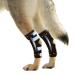 NeoAlly Dog Braces for Back Legs Super Supportive with Dual Metal Spring Inserts to Stabilize Dog Hind Legs, Help Dogs with Injuries, Sprains, Arthritis, ACL (Pair) Large (1 Pair)