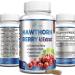 Hawthorn Berry 4:1 Extract (120 Capsules) Supports Healthy Blood Pressure, Heart Health, Immune System, Super Antioxidant, Hawthorne Berry Capsules Concentrated from 2660mg Berries