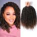 Fulcrum Passion Twist Hair 8 Inch 8 Packs Pre-Twisted Passion Twist Crochet Hair for Black Women Soft Passion Twist Curly Crochet Hair Pre Looped Passion Twist Synthetic Crochet Hair Extensions (8 Inch (Pack of 8 ) T...