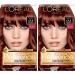 L'Oreal Paris Superior Preference Fade-Defying + Shine Permanent Hair Color, 6AB Chic Auburn Brown, Pack of 2, Hair Dye 6AB Chic Auburn Brown 2 Count (Pack of 1)