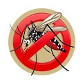 Indoor Insect & Pest Control